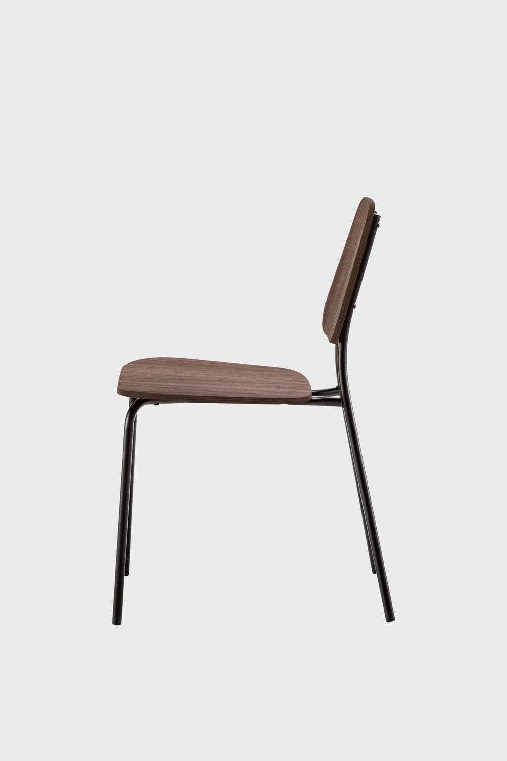Hoya Chair Metal Frame